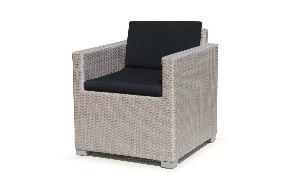 Skyline Design - Pacific Silver Walnut Dining Chair